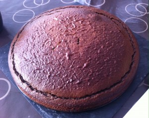gâteau chocolat menthe